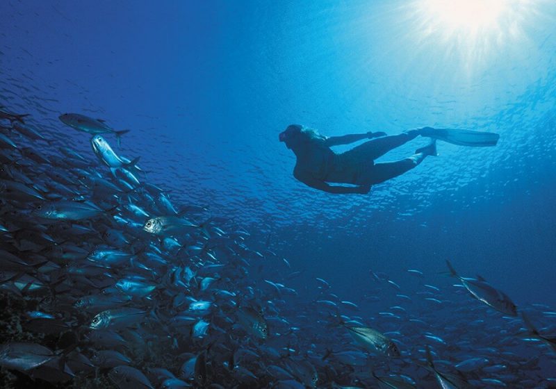 diving-mauritius-bel-ombre