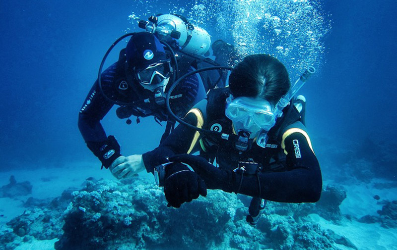 Dodo-diving-mauritius