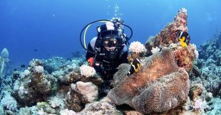 divers-north-mauritius