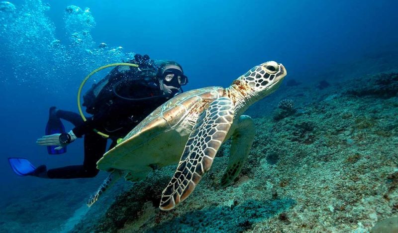 diver-mauritius