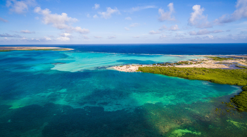 dive-bonaire