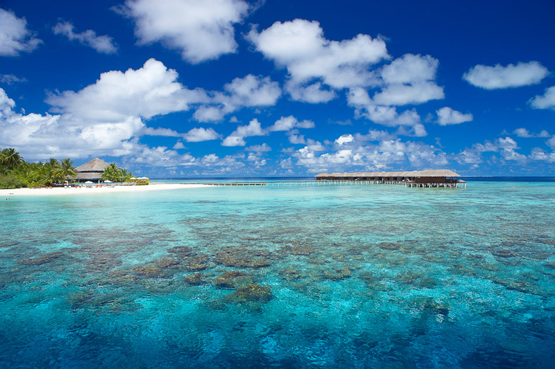 dive-maldives