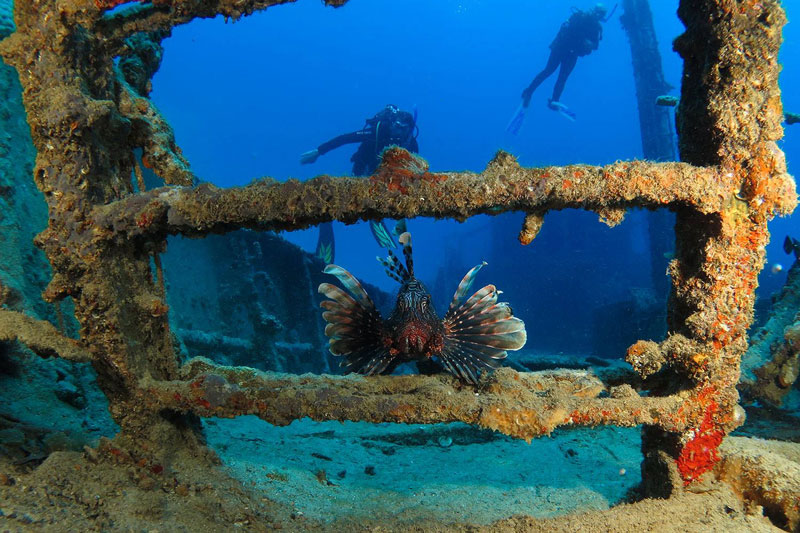 diving-mauritius