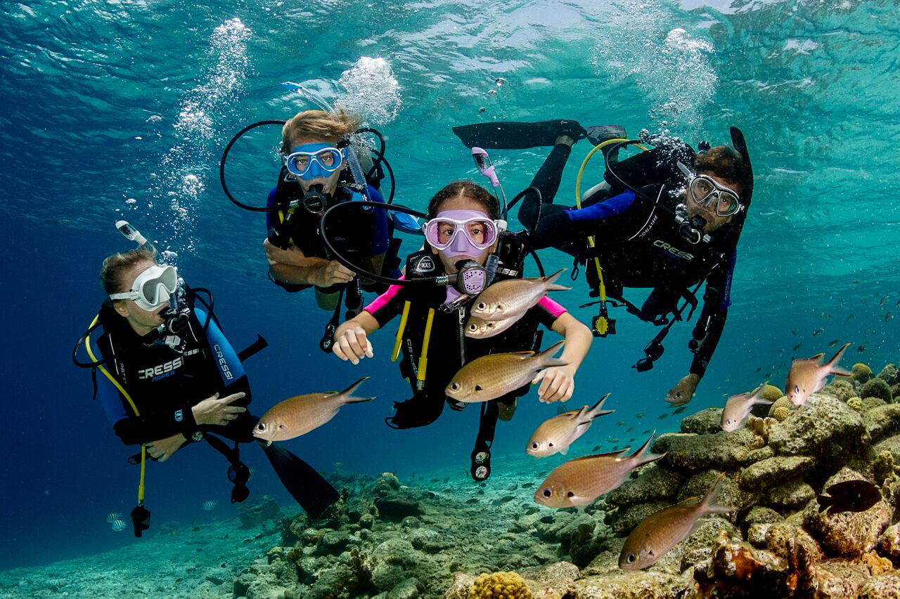 Jeg tror, ​​jeg er syg Ubevæbnet pengeoverførsel The Planet's best places to learn to dive | Dive Reviews & Reports