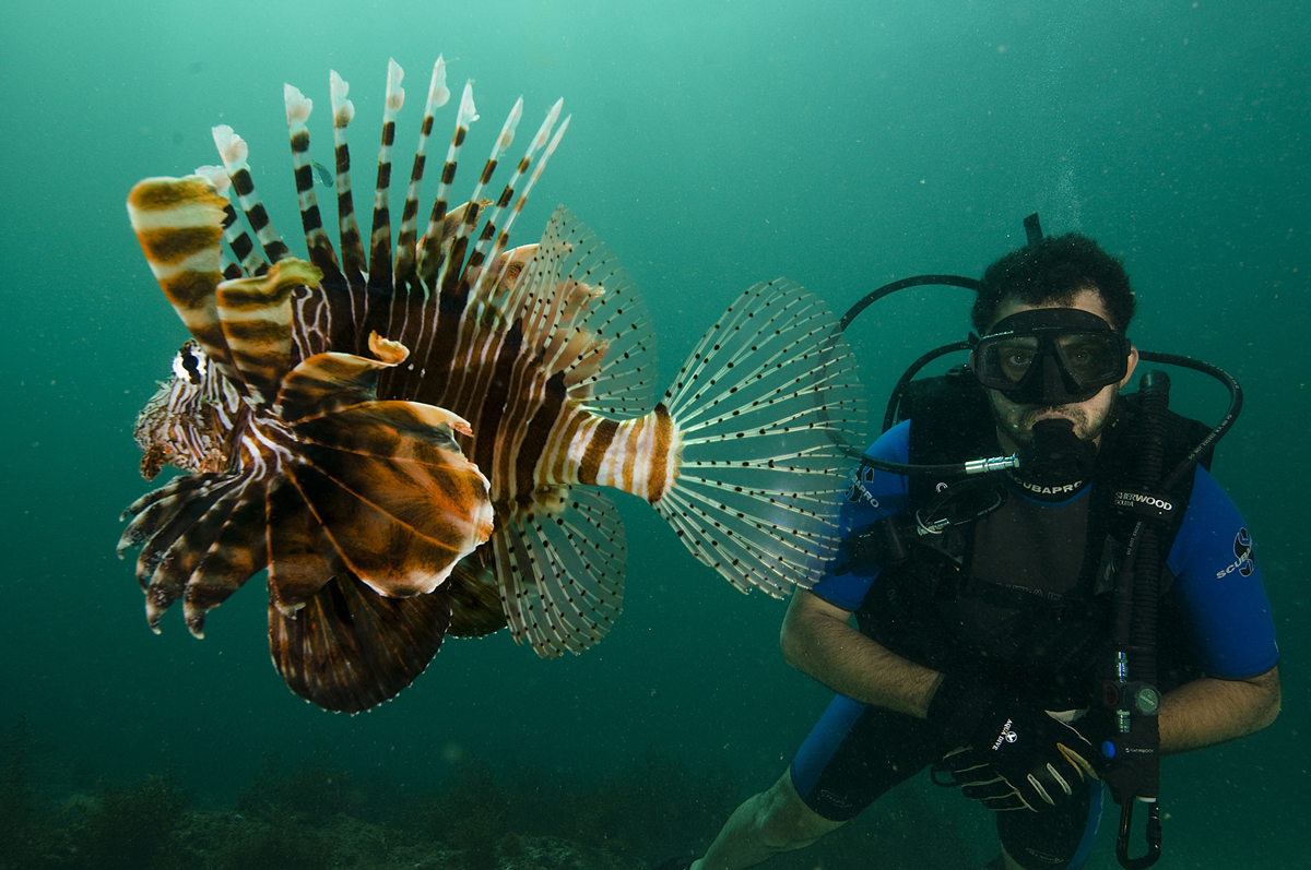 Diving-oman