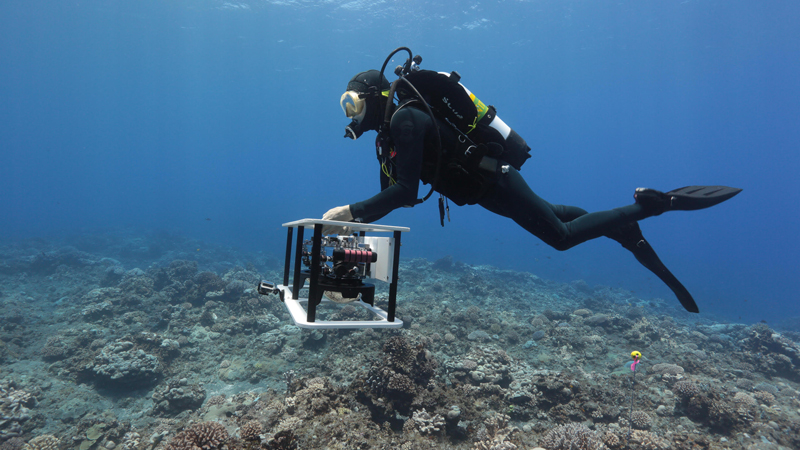 Liveaboard-Oceanography