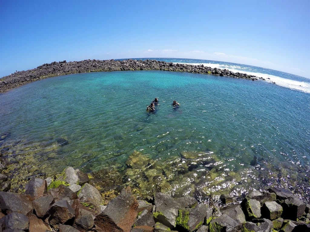 dive-corralejo