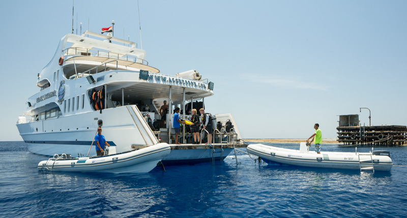 red-sea-liveaboard