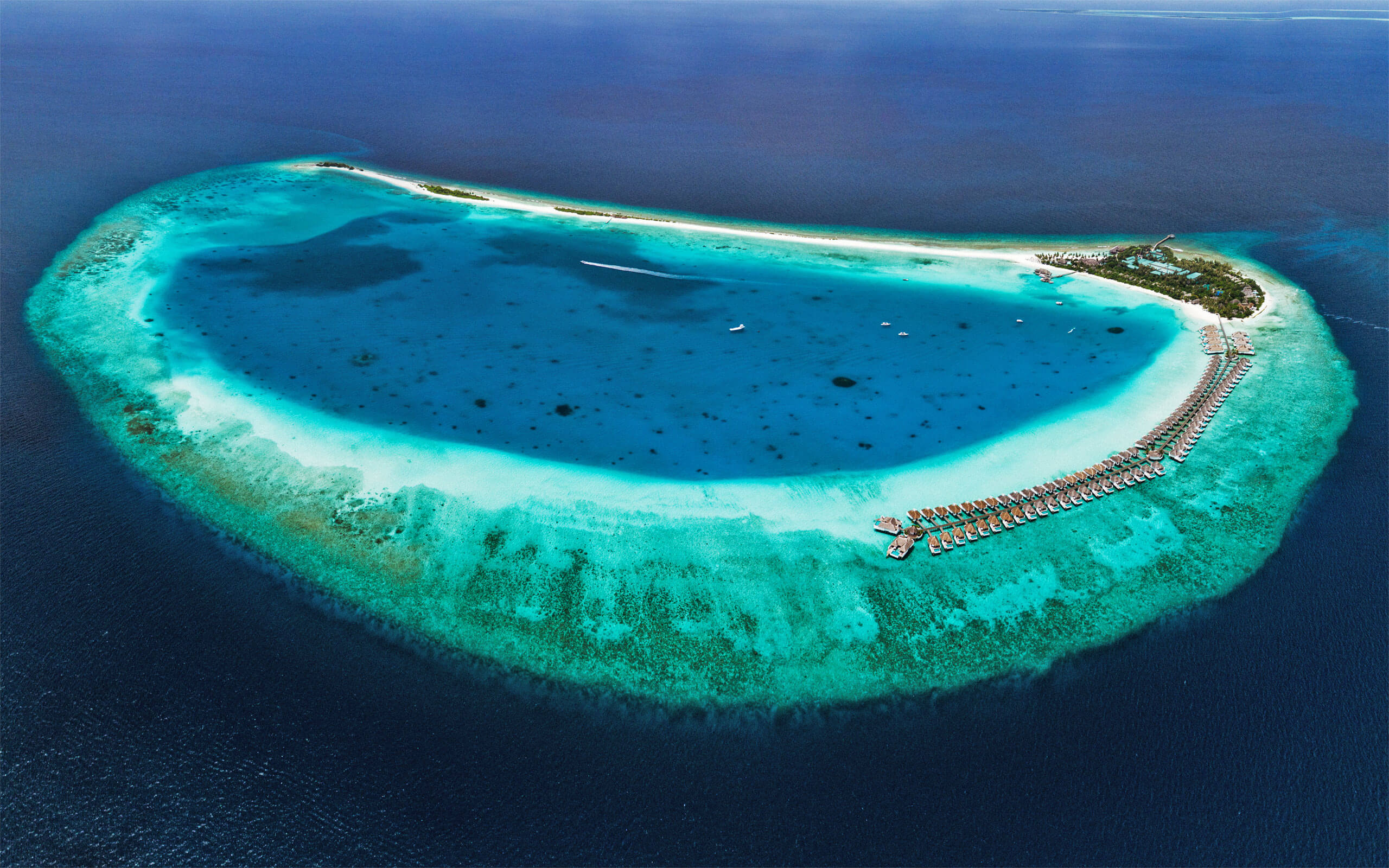 A healthy coral reef in the Maldives, photographed underwater in clear blue water