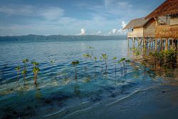 Limestone islands and turquoise water in Raja Ampat, Indonesia