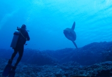 Diving in Bali, Indonesia