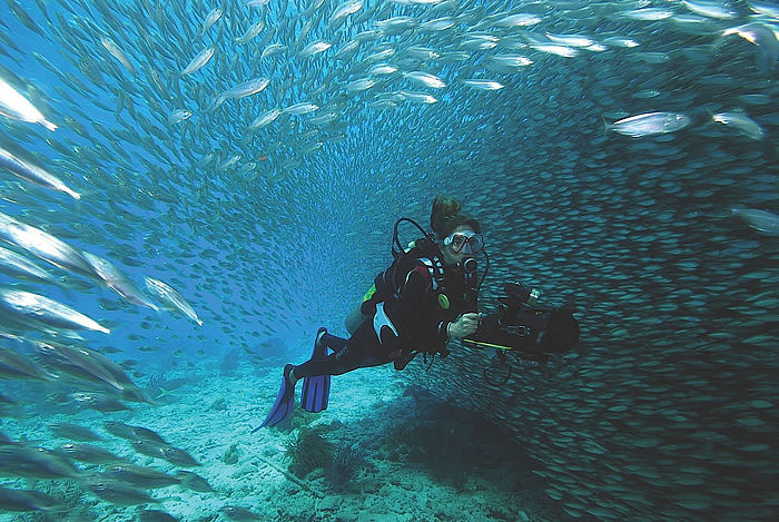 Diving in Bonaire, Dutch Antilles