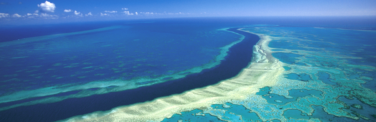 Diving in Great Barrier Reef, Australia