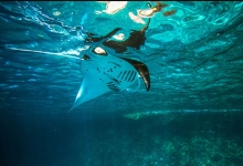 Diving in Nusa Lembongan, Indonesia