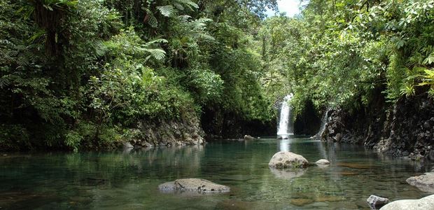 Diving in Taveuni Island, Fiji
