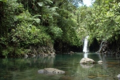 Diving in Taveuni Island, Fiji