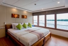 NovoTigersharkkingbed