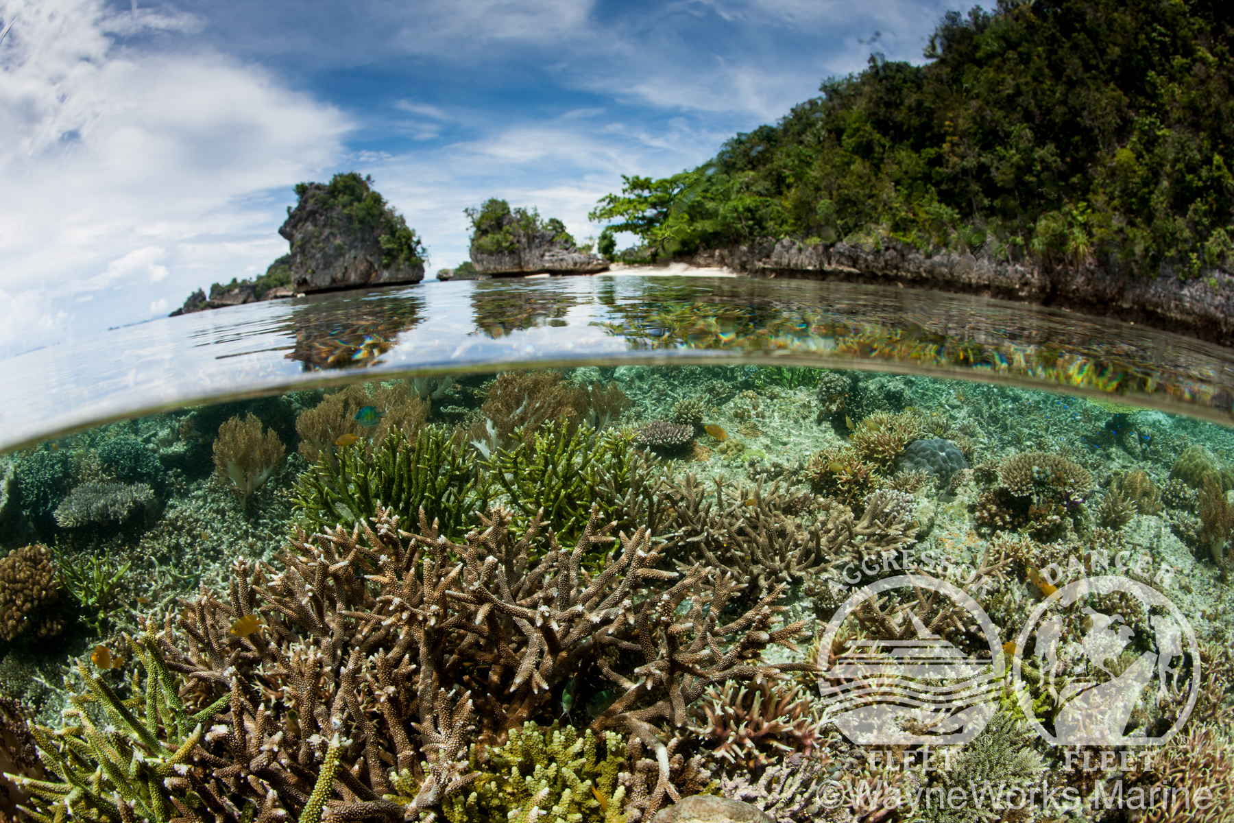 Raja Ampat Aggressor, Indonesia - liveaboard diving holidays