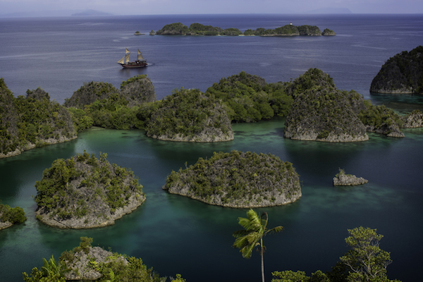 Arenui, Indonesia - liveaboard diving holidays