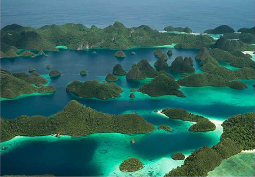 Felicia, Indonesia - liveaboard diving holidays