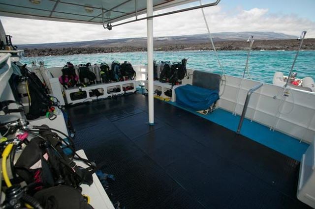 Galapagos Master (Deep Blue), Galapagos and Ecuador - liveaboard diving holidays