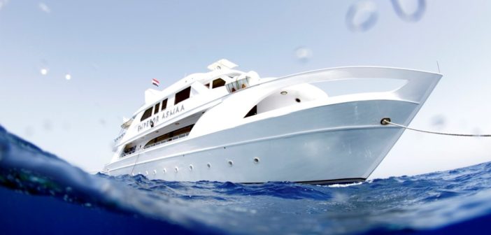 Asmaa, Egypt - liveaboard diving holidays