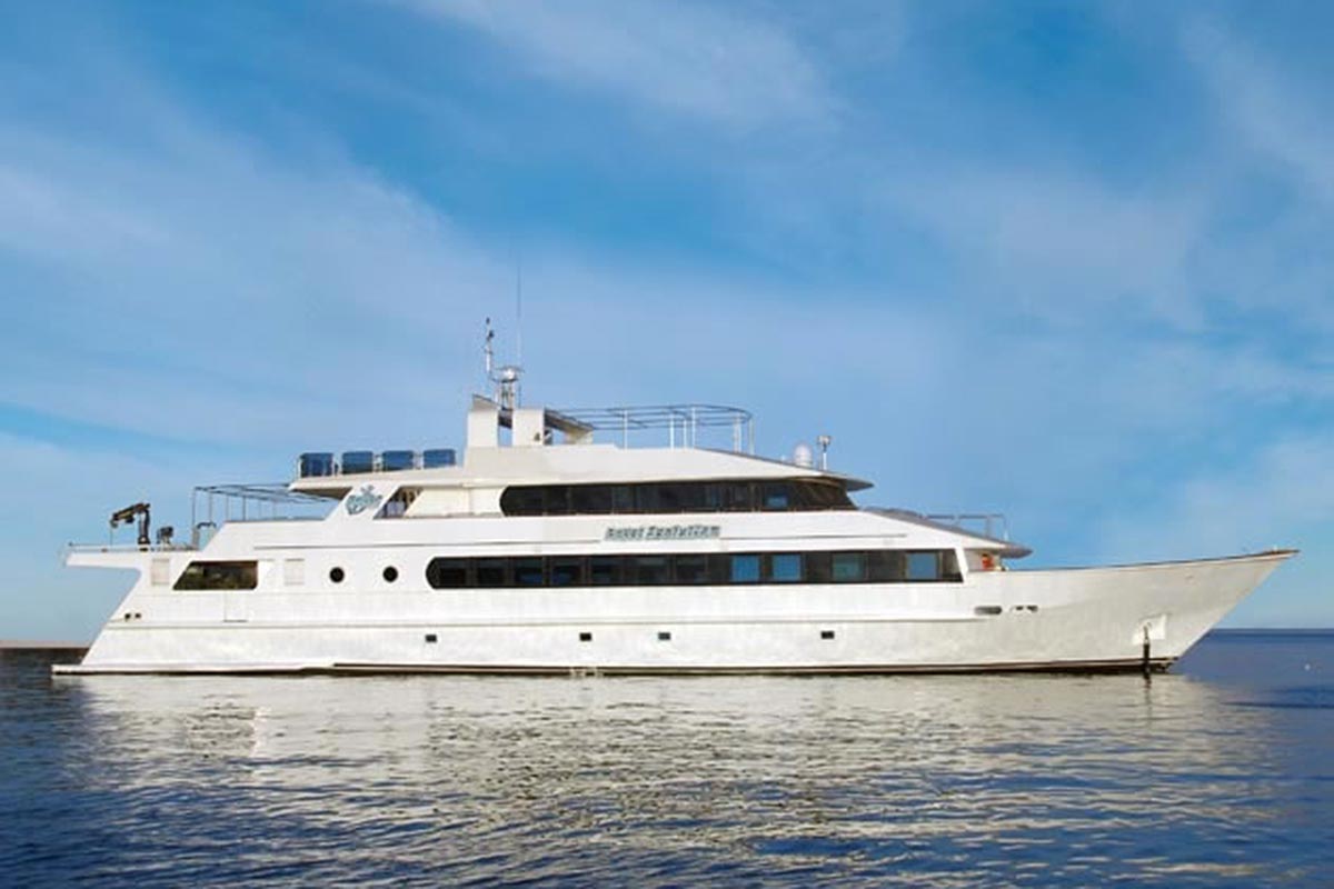Royal Evolution, Sudan - liveaboard diving holidays