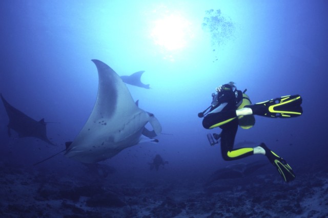 Theia, Maldives - liveaboard diving holidays