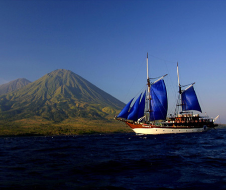 Felicia, Indonesia - liveaboard diving holidays
