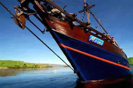 Moana, Indonesia - liveaboard diving holidays