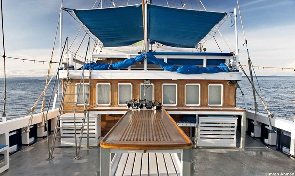 Seahorse, Indonesia - liveaboard diving holidays