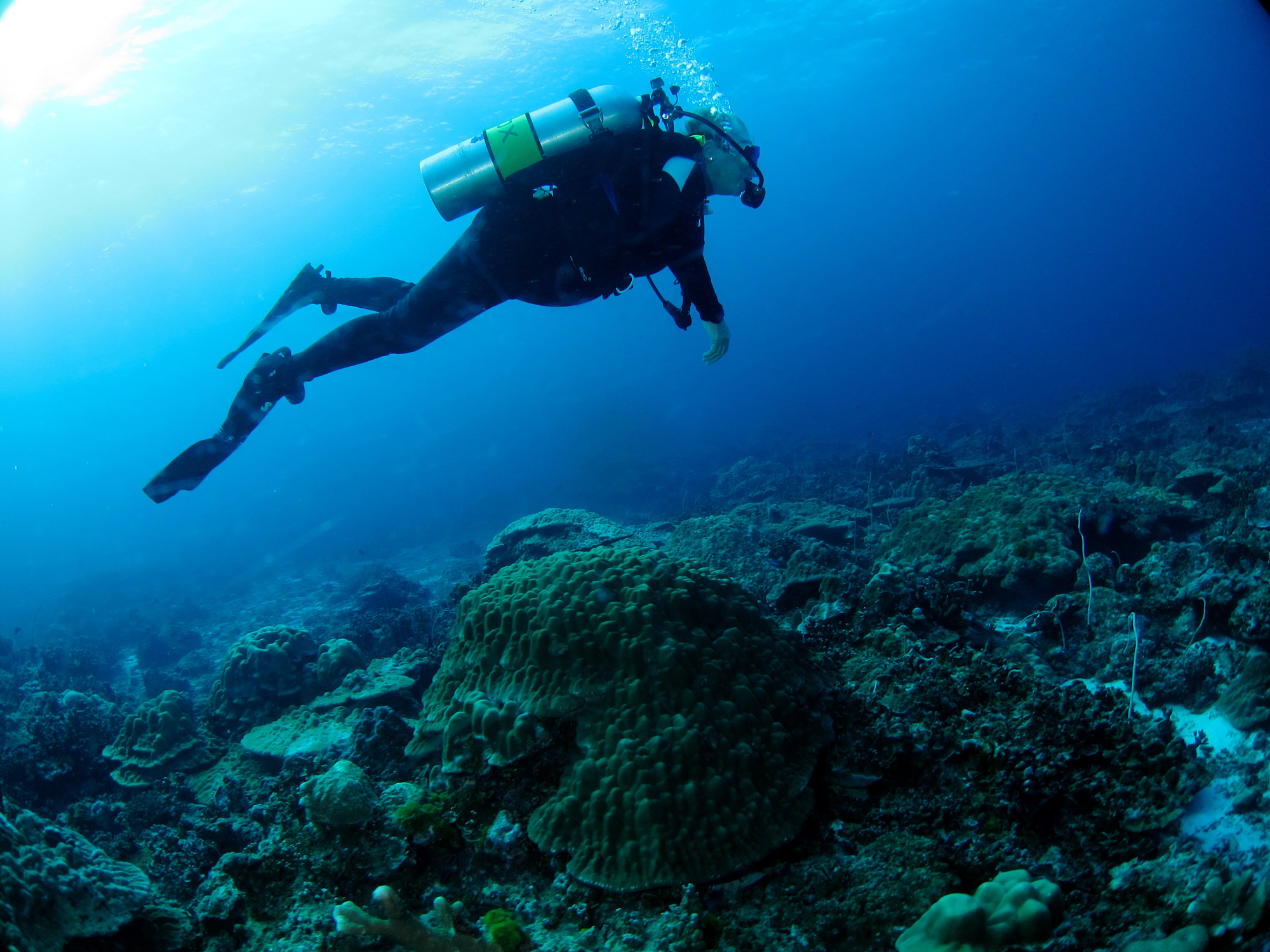 Thailand Aggressor, Thailand - liveaboard diving holidays