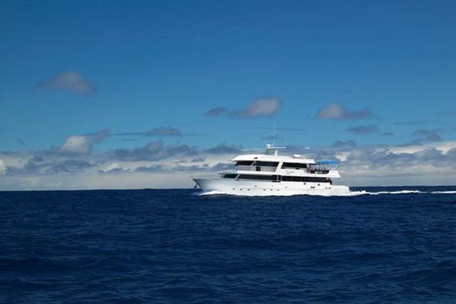 Galapagos Master (Deep Blue), Galapagos and Ecuador - liveaboard diving holidays