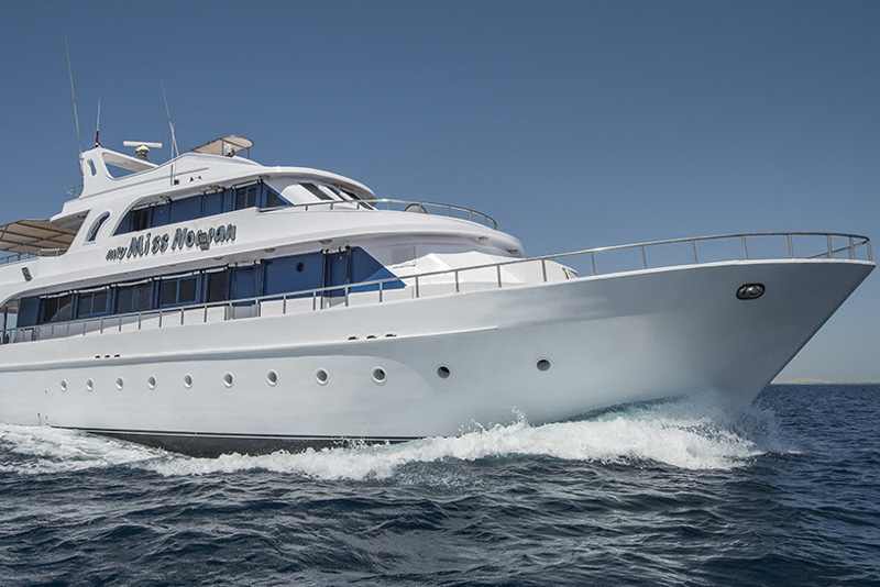 Miss Nouran, Egypt - liveaboard diving holidays