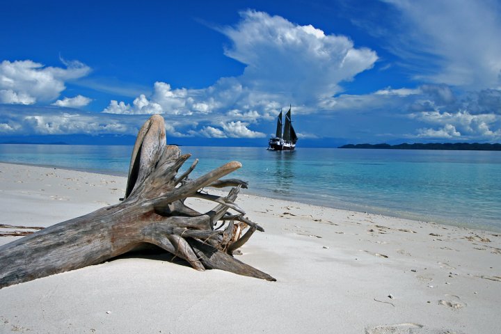 Ondina, Indonesia - liveaboard diving holidays