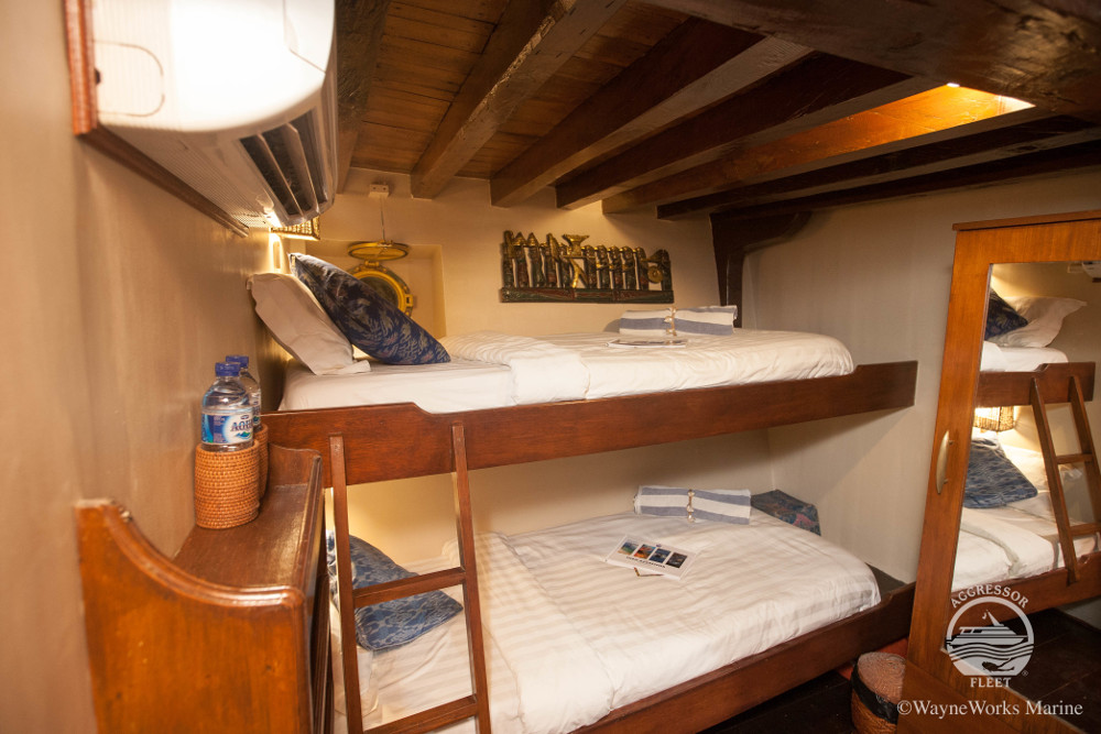 Indo Aggressor, Indonesia - liveaboard diving holidays