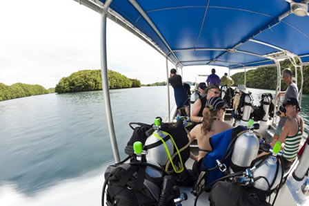 Rock Islands Aggressor, Palau - liveaboard diving holidays