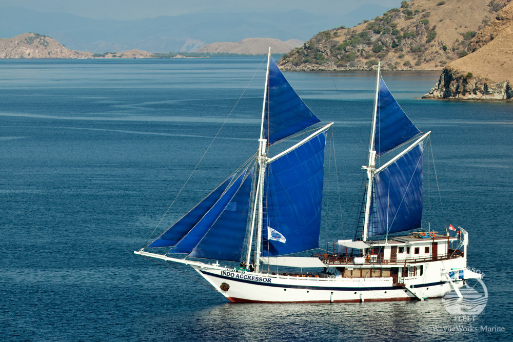 Indo Aggressor, Indonesia - liveaboard diving holidays