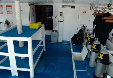 Royal Evolution, Sudan - liveaboard diving holidays