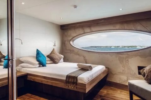 Dolphin Suite Double