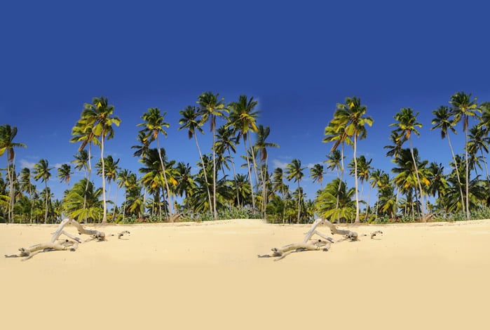 Mafia Island dive holidays