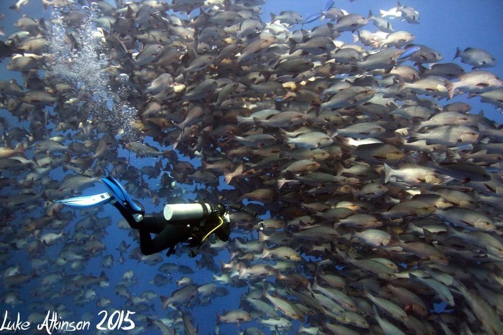Dive Centre (Emperor Divers, Naama Bay), Sharm El Sheikh