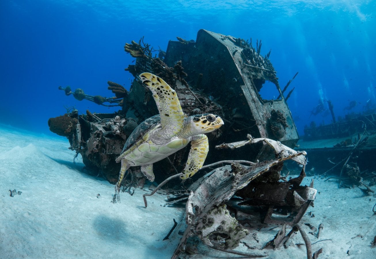 Cayman Brac dive holidays