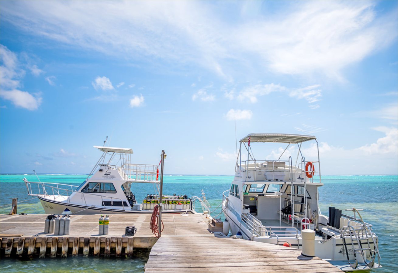 Little Cayman dive holidays