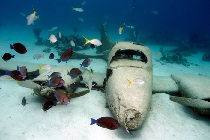 Stuarts Cove - Nassau, Nassau