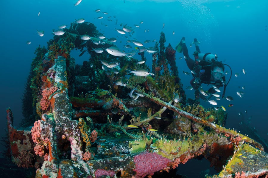 Grenada dive holidays