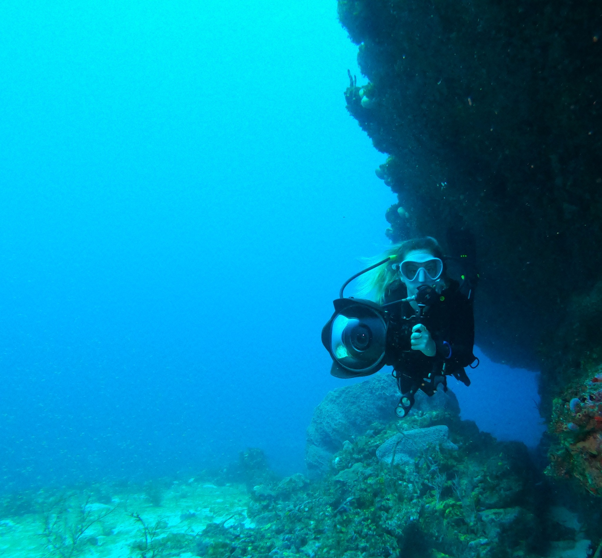 Tobago dive centres, Tobago