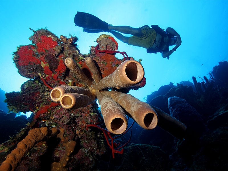 Cayman Brac dive centres, Cayman Brac