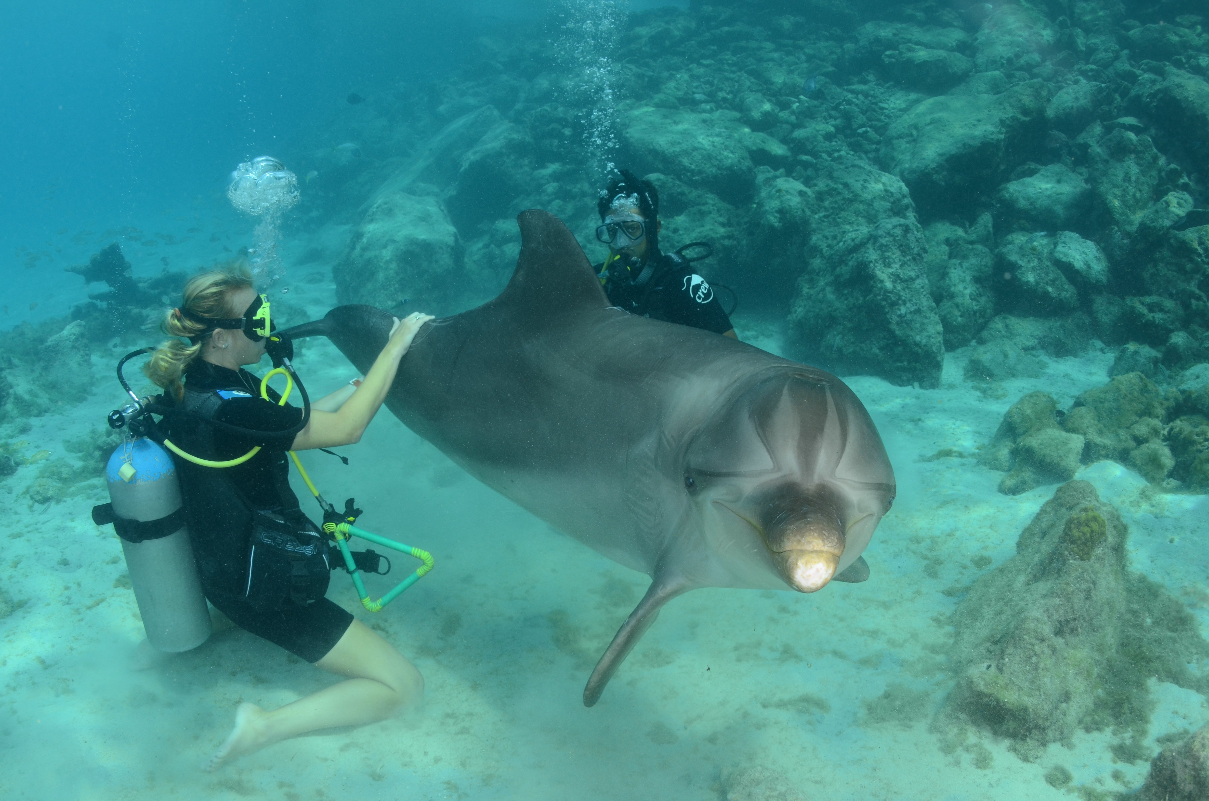 Curacao dive centres, Curacao
