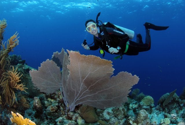 Curacao dive centres, Curacao